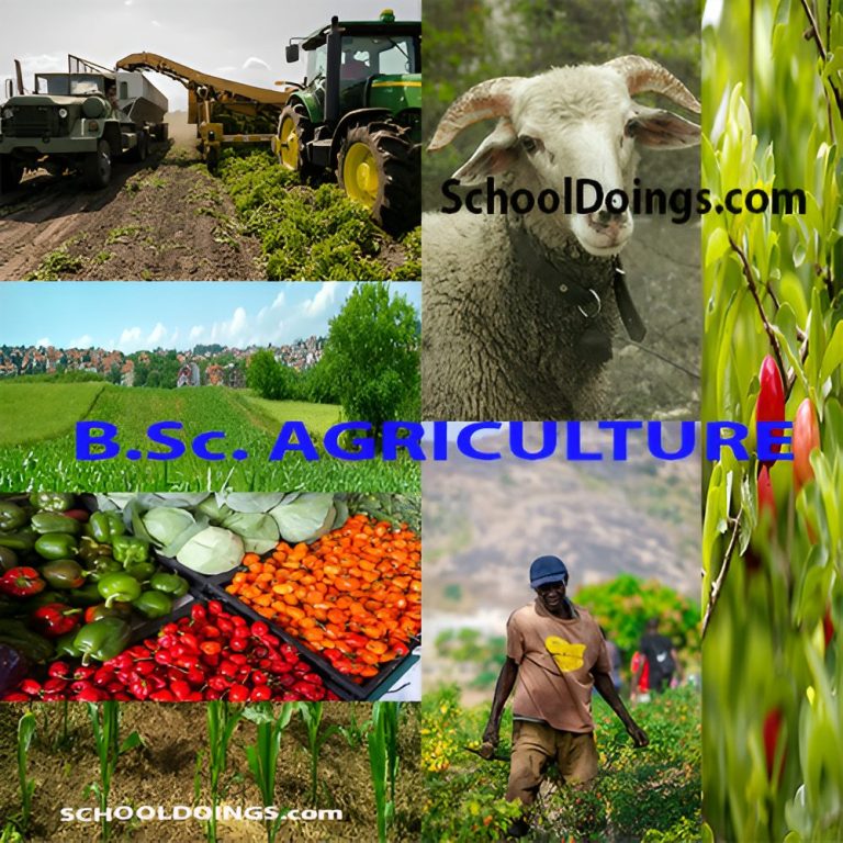 B.Sc. Agriculture